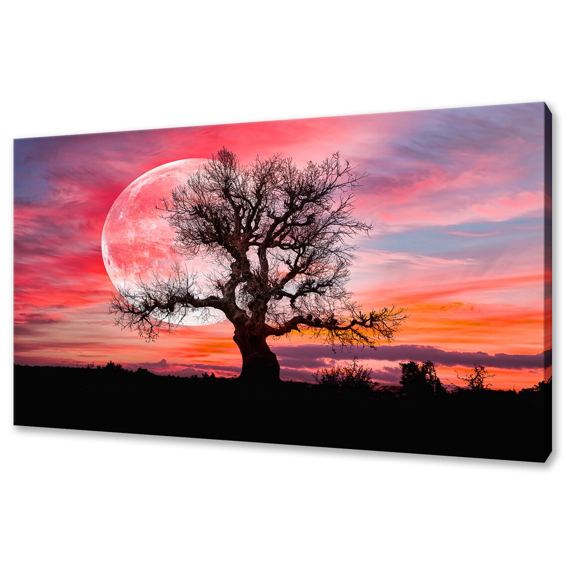 The Lonely Tree With Sunset Moon, Modern Design