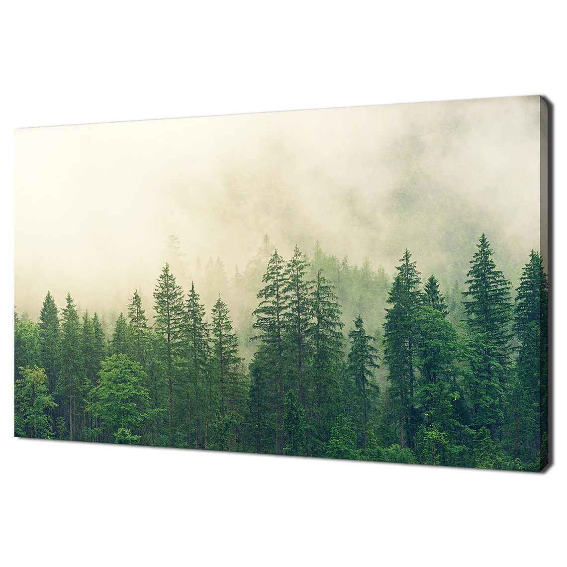 Green Misty Foggy Forest Trees Mountains Modern Design Home Decor Print Wall Art Picture