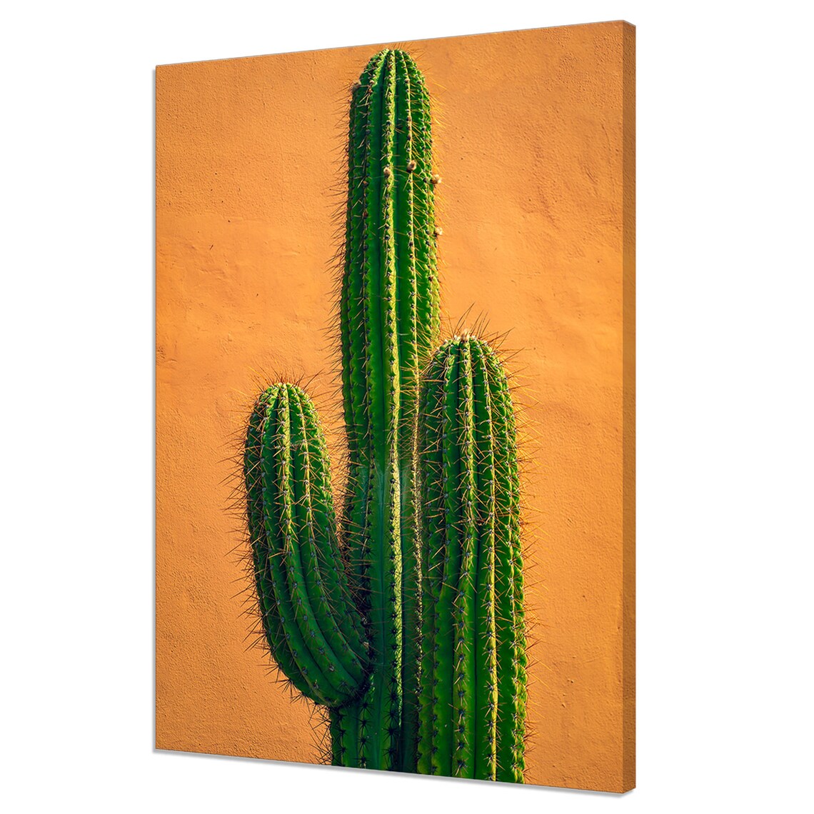 Tall Green Tropical Cactus, Modern Minimalist Art Print