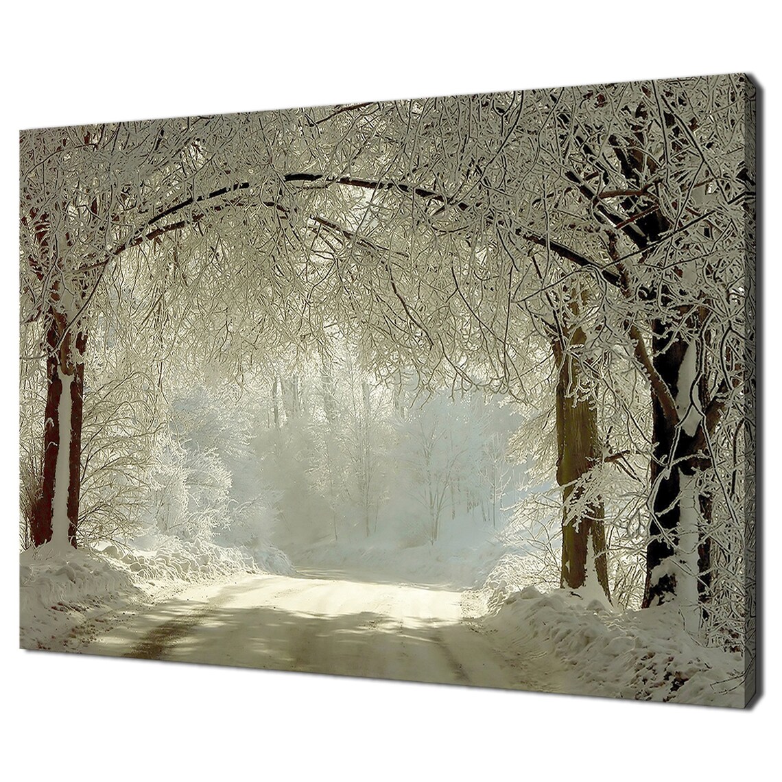 Winter Road Through Frozen Trees, Modern Art Print