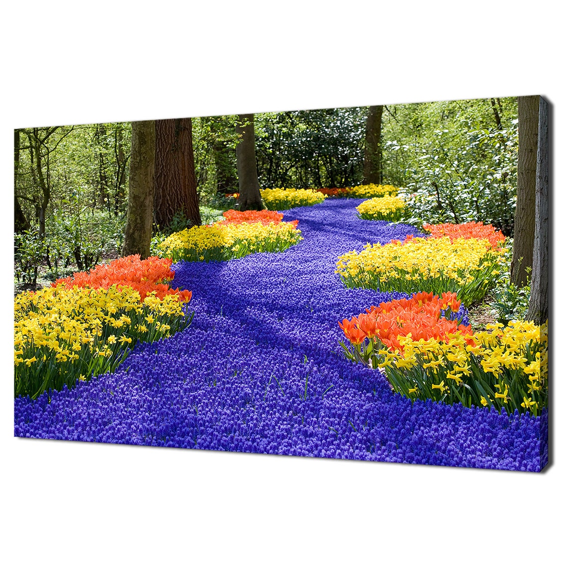 Spring Flower Field Blue Grape Hyacinths Yellow Daffodils Tulips Print