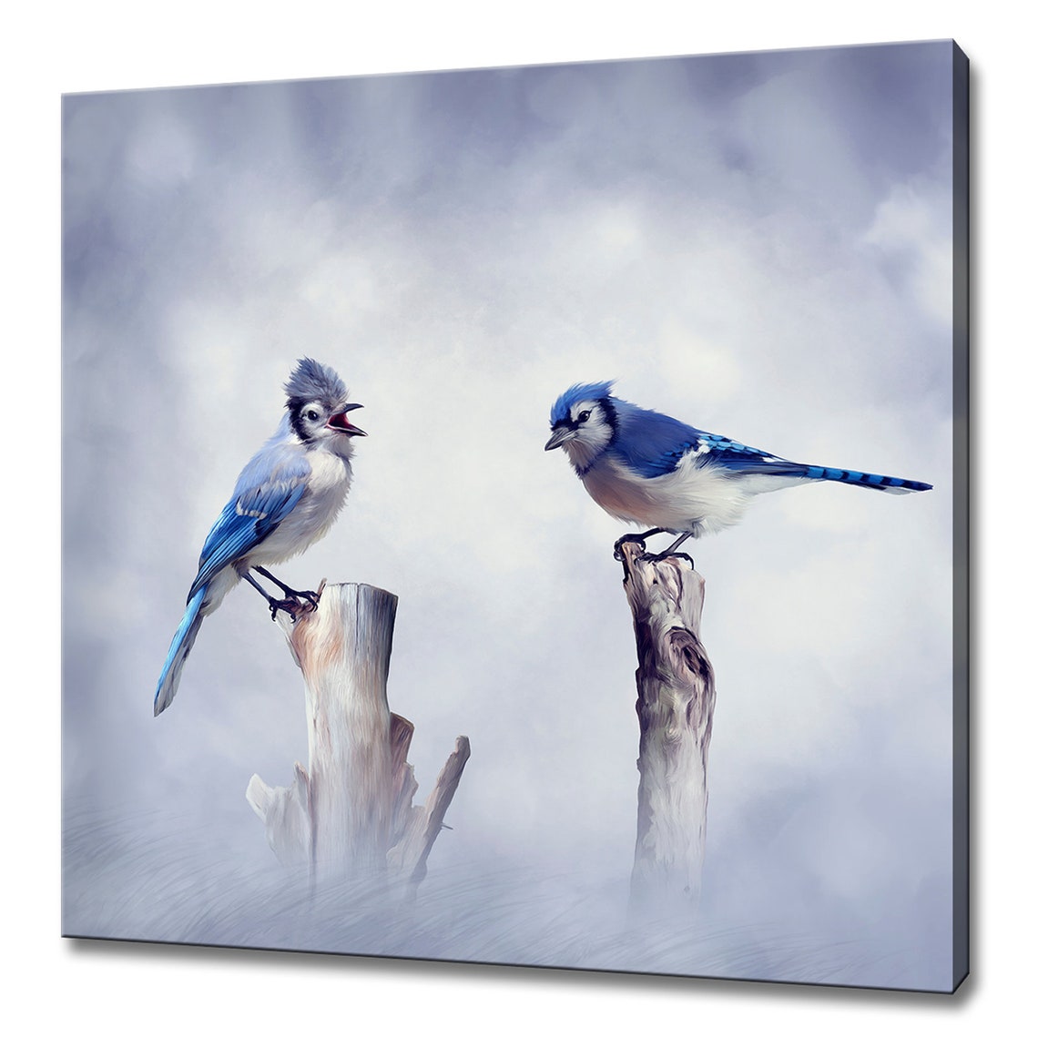 Blue Jay Birds Pair Perched On Stumps Winter Forest Photography Poster
