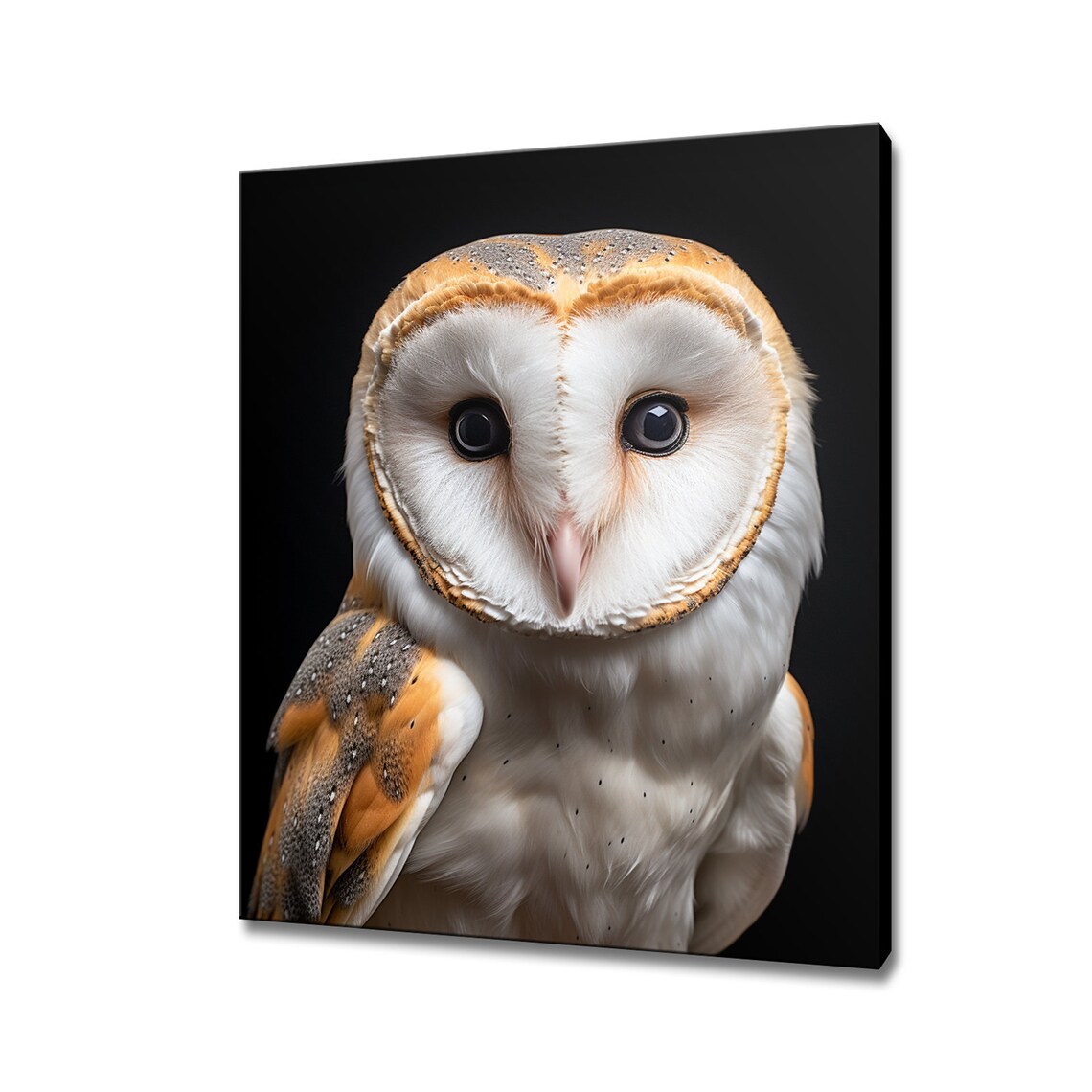 Barn Owl Bird Art Print, Farmhouse Wall Decor