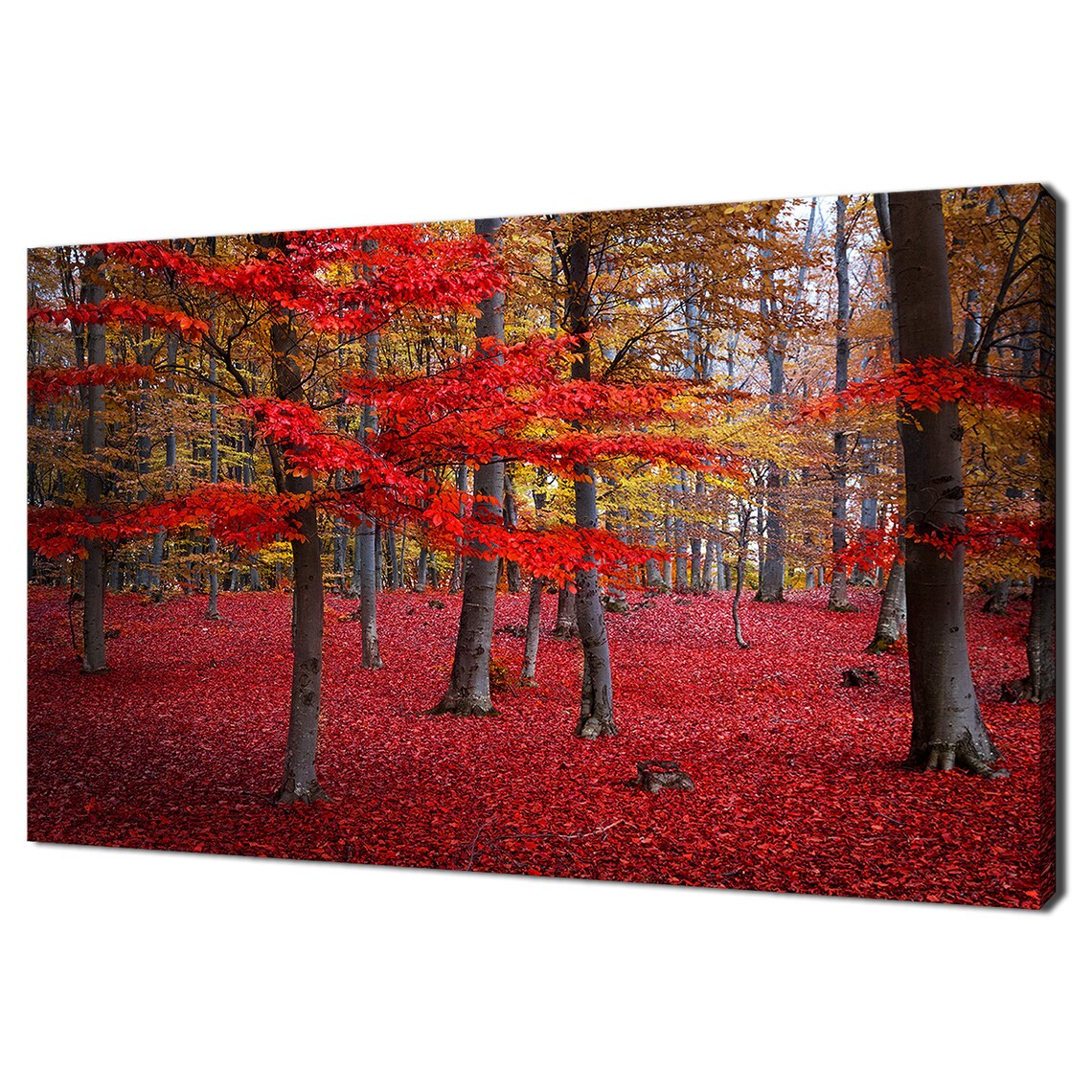 Red Yellow Forest Trees Landscape Modern Art Print