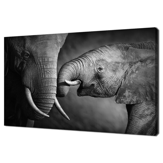 Mother And Baby Elephant Trunk Embrace Black White Wildlife Wall Art Poster