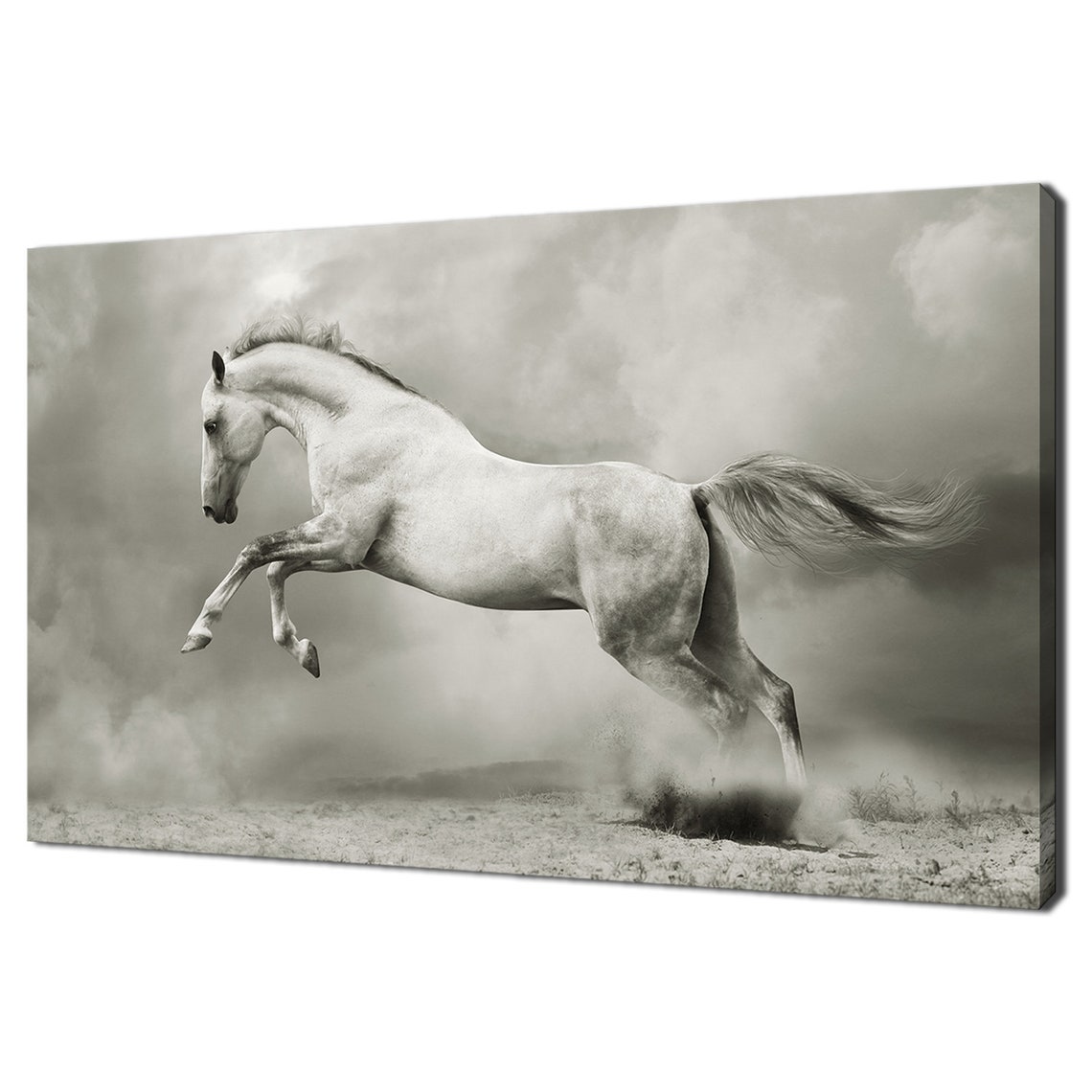 White Stallion Horse Galloping Dust Cloud Black White Action Art Print