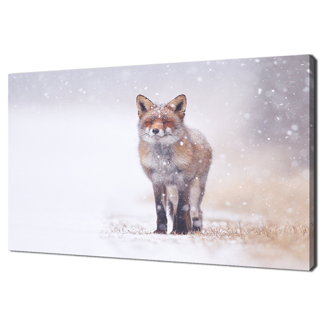 Red Fox in the Snow, Modern Animal Wall Art Print