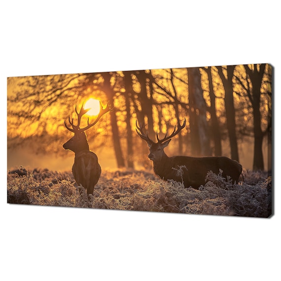 Two Red Deer Stags In Golden Morning Sunlight Forest Clearing Animal Poster