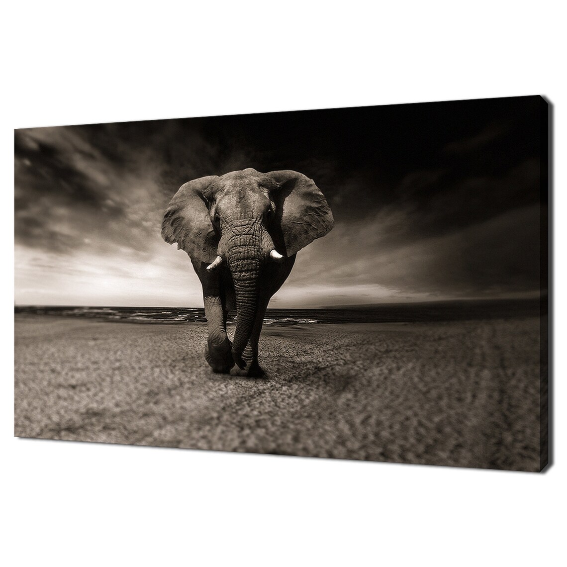 African Elephant Walking in the Desert, Modern Art Print