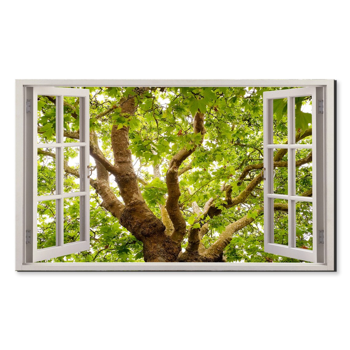 Oak Oak Tree Brunches Window View Window Frame Style Modern Design Home Decor Print Wall Art Picture Ready To Hang