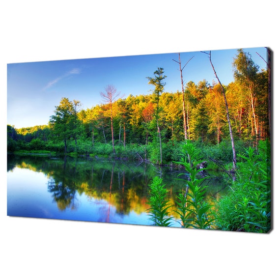 Beautiful Beaver Pond In Summer Sunset Modern Design Home Decor Print Wall Art Wall Hanging