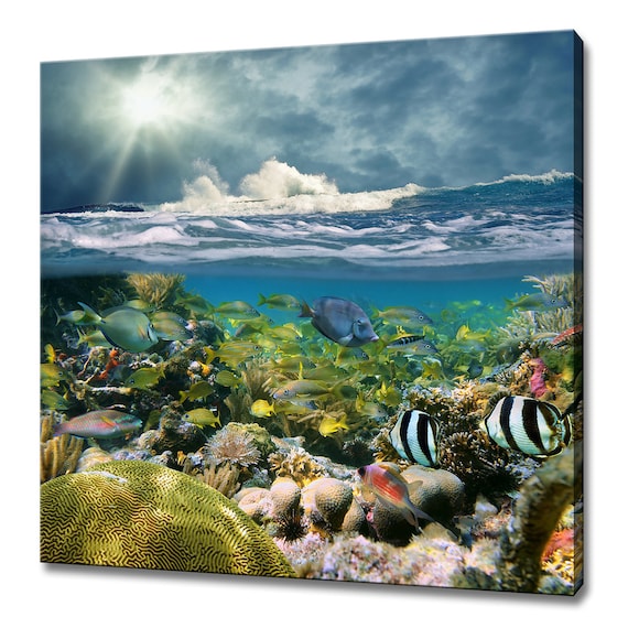 Beautiful Coral Fish Sea Wave Modern Design Home Decor Print Wall Art Picture