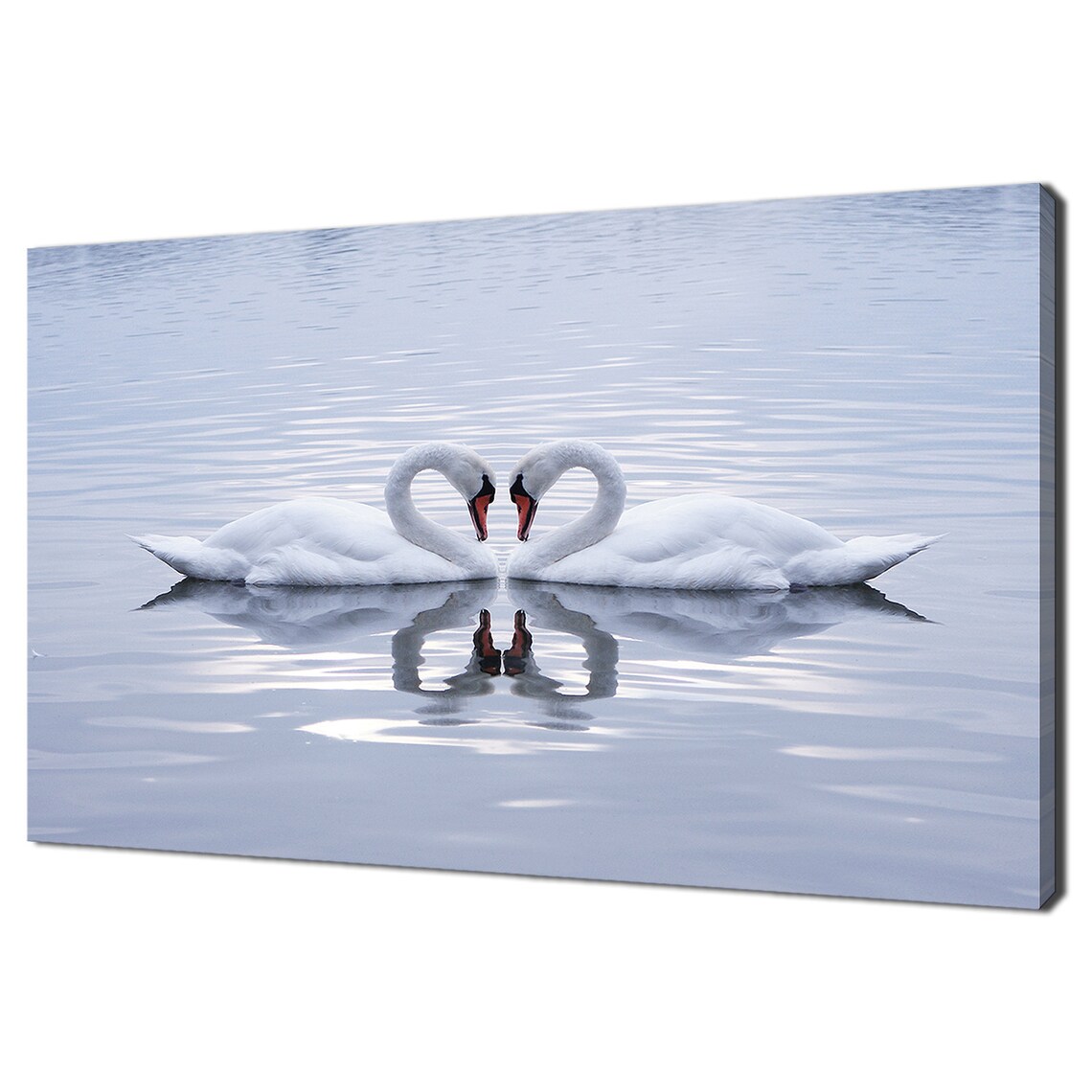 Swans In Heart Shape On Blue Lake, Love Poster