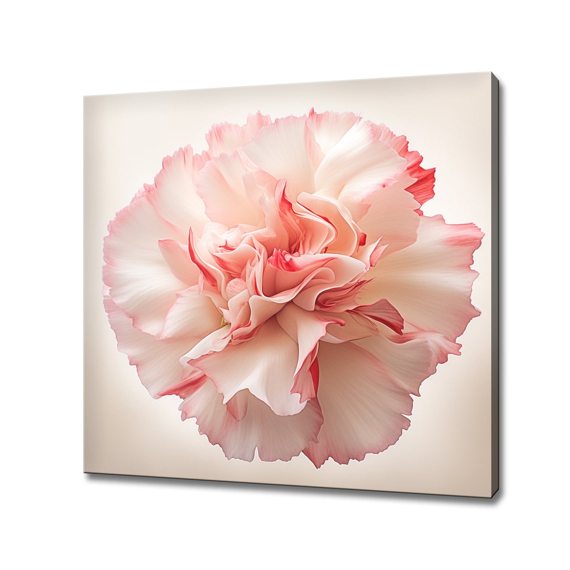 Pink Carnation Ruffled Petals Close Up Soft Botanical Wall Art Poster