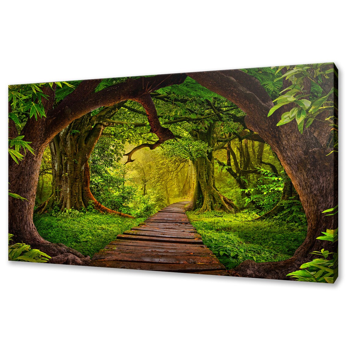 Tropical Rainforest Path Modern Wall Art Print