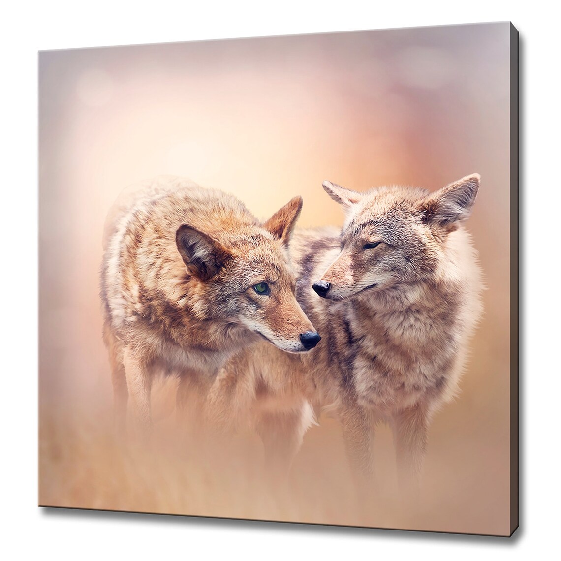 Two Young Coyotes at Sunset, Modern Design Art Print