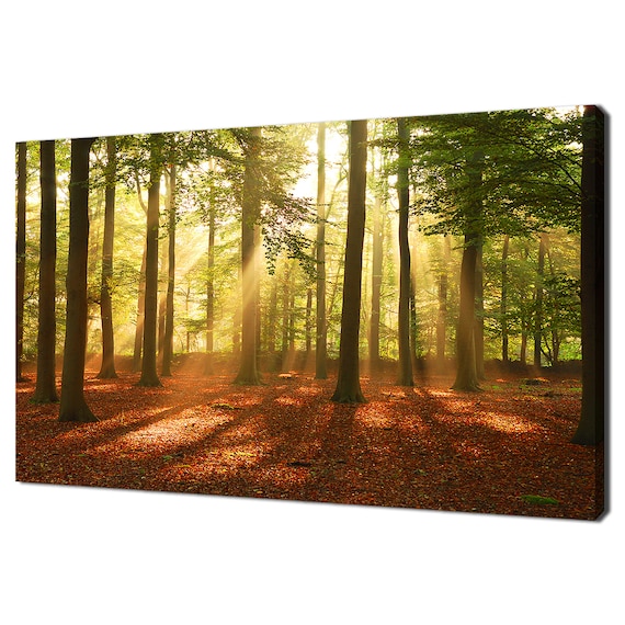 Sun Beams Shining Through The Trees In The Forest Modern Design Home Decor Print Wall Art Picture