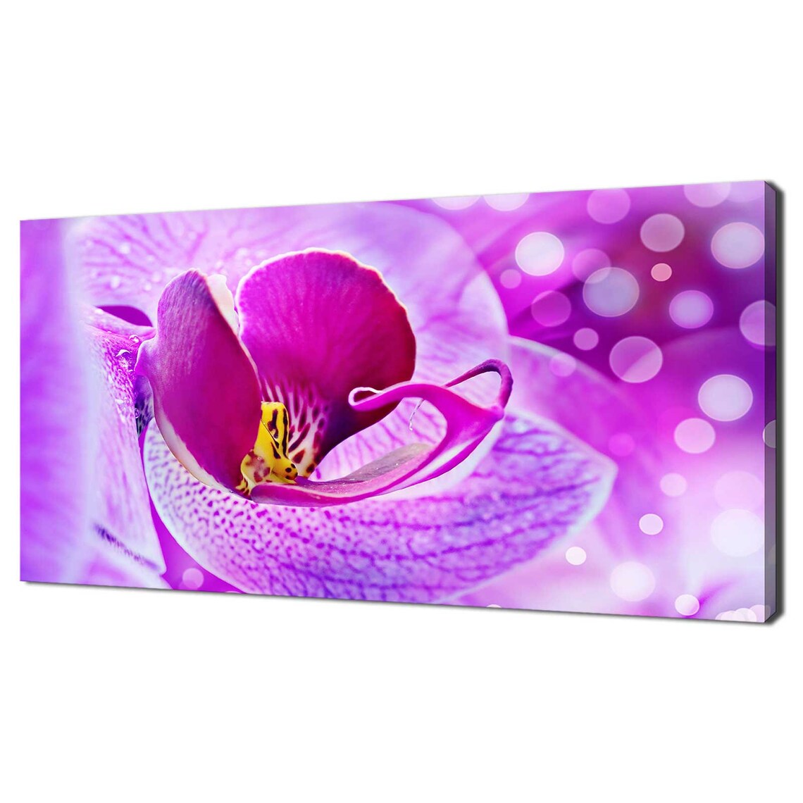 Purple Pink Orchid Flower Macro Close Up Bokeh Floral Art Poster