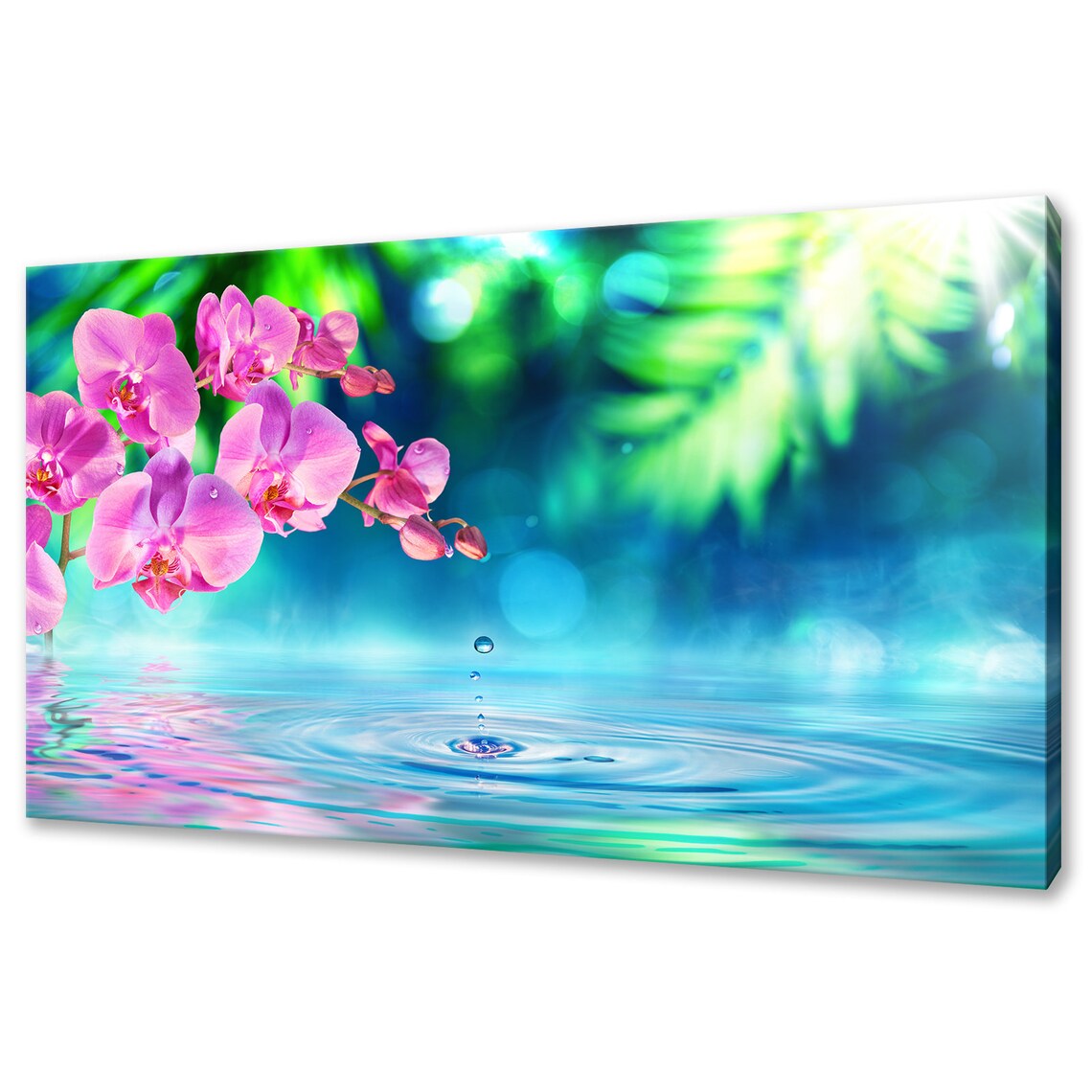 Pink Orchid Flowers in Zen Garden, Modern Art Print