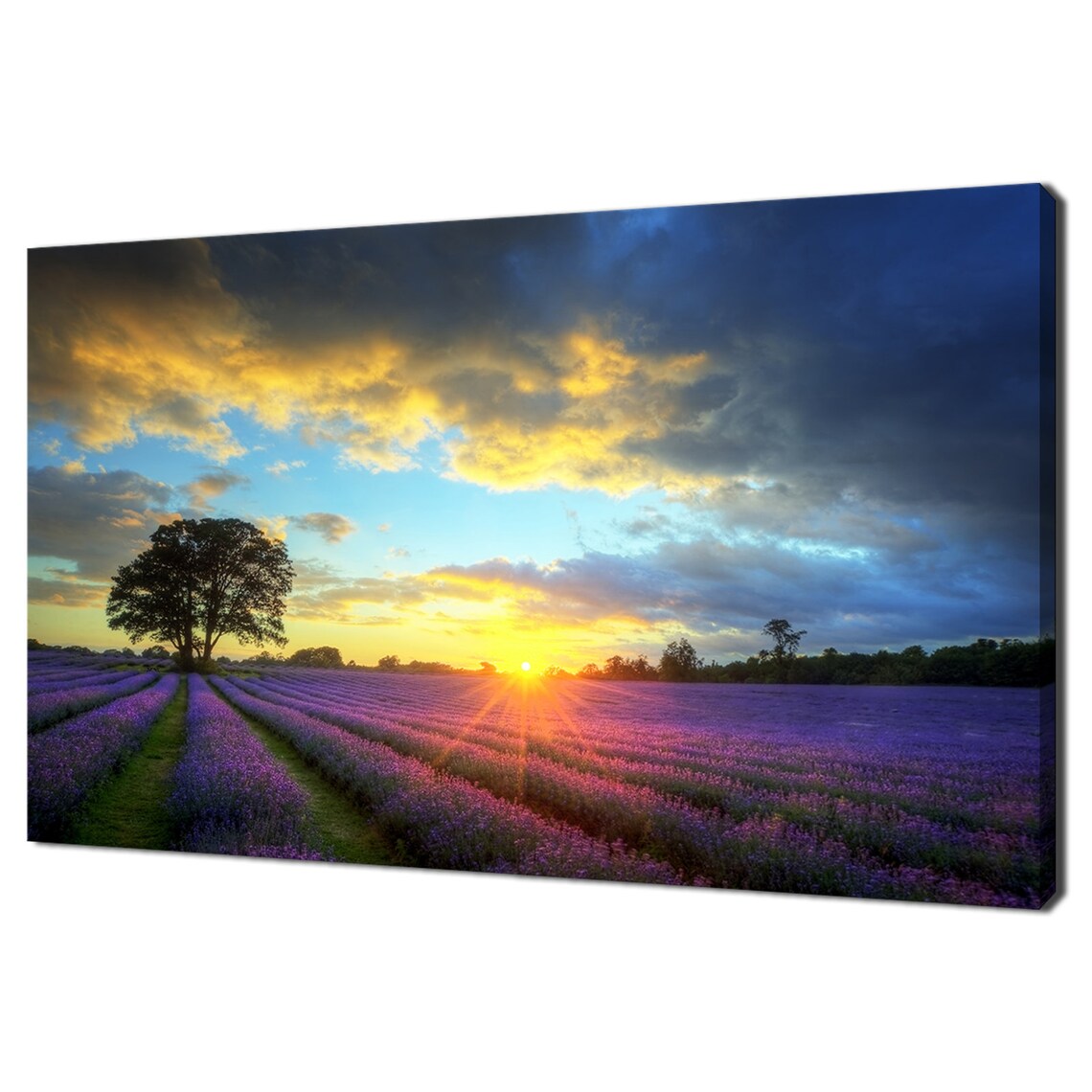 Sunset Over Lavender Fields Modern Landscape Art Print
