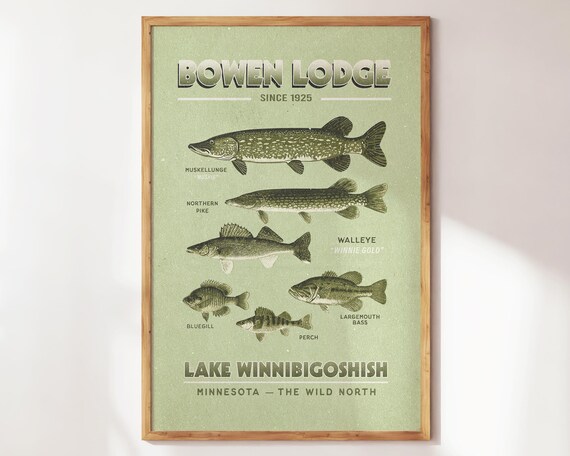 Bowen Lodge Fish Species Chart Sage Green Background Wall Poster