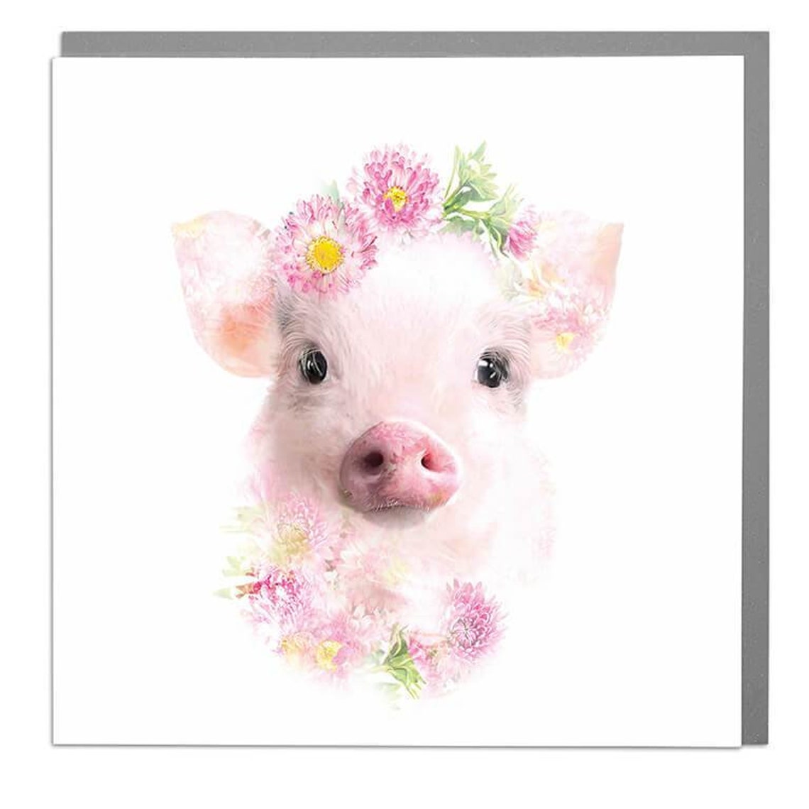 Micro Pig Blank Greeting Card