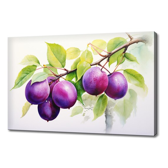 Purple Plums Fruits Watercolour Painting Print Fruits Lover Gift Kitchen Restaurant Wall Art Print Colourful Fruits Wall Decor