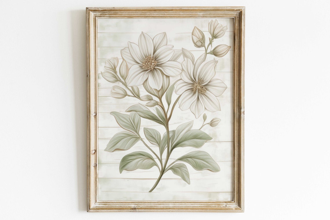 Delicate White Blossom Branch Botanical Art On Pale Wood Poster