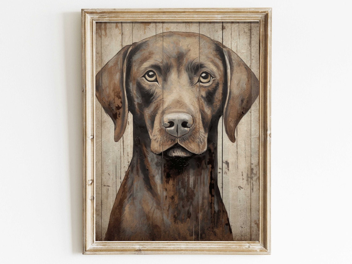 Chocolate Labrador Retriever Portrait on Rustic Wood Wall Poster