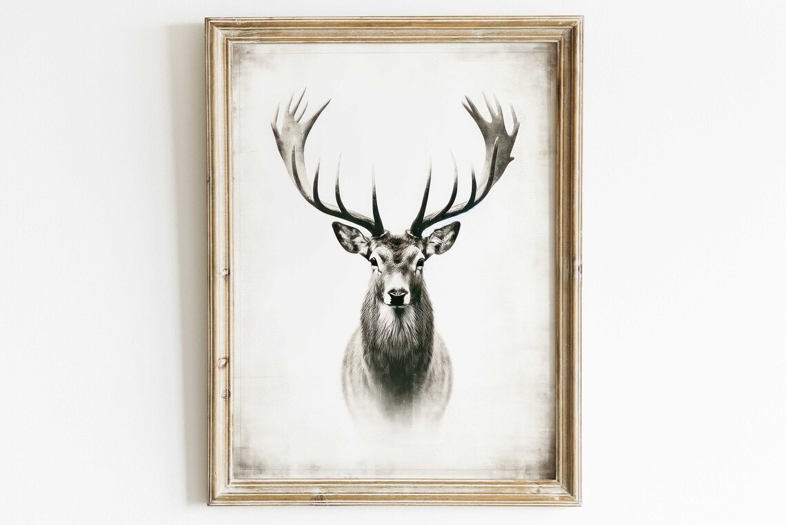 Black And White Stag Head With Antlers Minimalist Wildlife Poster Art