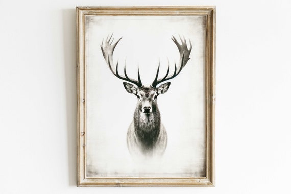Black And White Stag Head With Antlers Minimalist Wildlife Poster Art