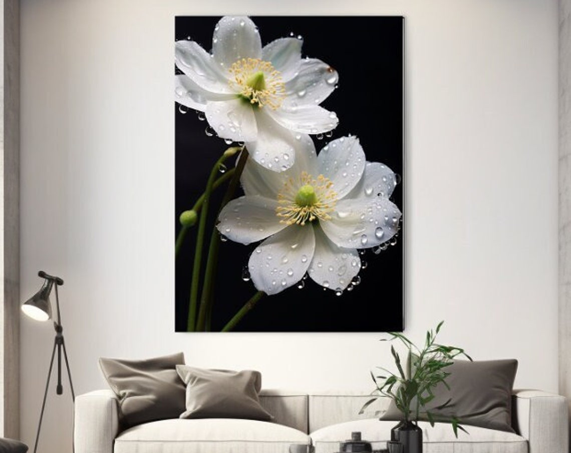 White Blooms with Dew Water Droplets Macro Floral Black Print