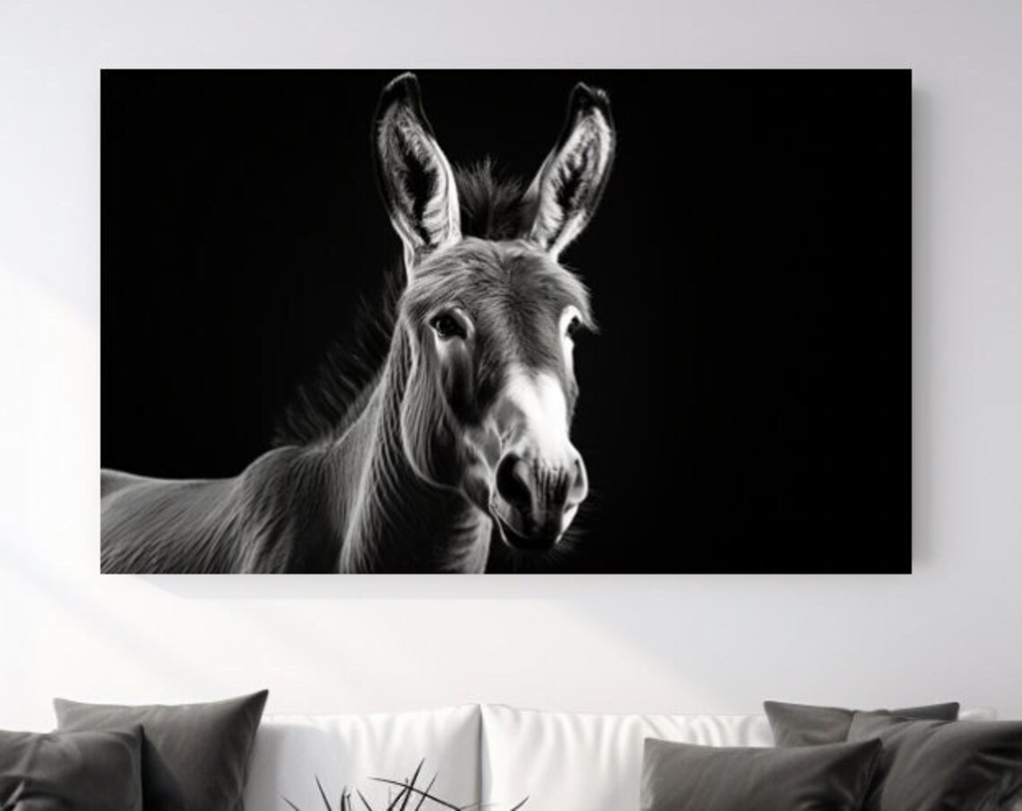 Black And White Donkey Portrait On Black Background Animal Poster