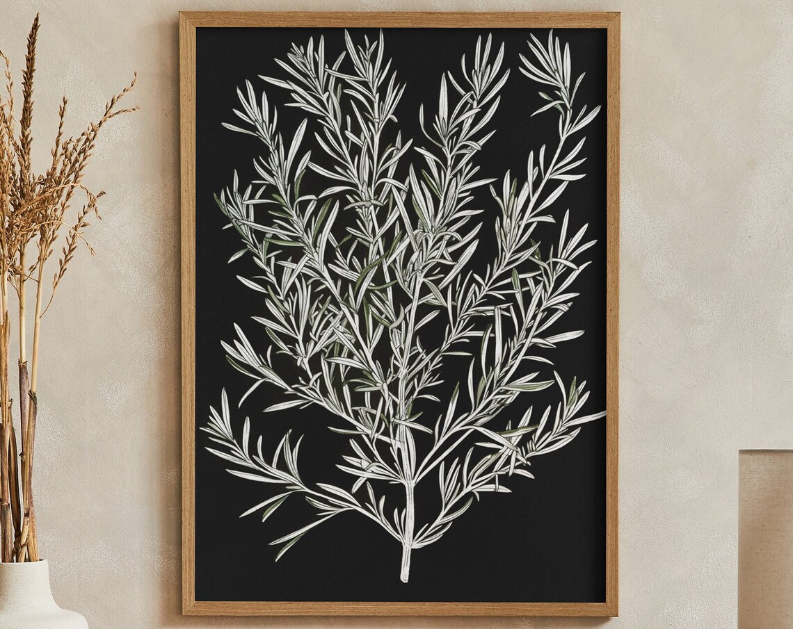 Rosemary Herb Botanical Sketch on Black Minimalist Kitchen Wall Poster