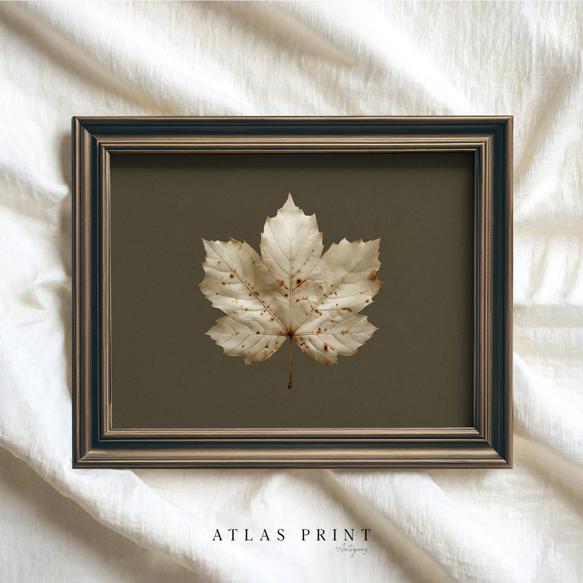 Pressed Maple Leaf Dark Olive Background Antique Botanical Poster - Image 4