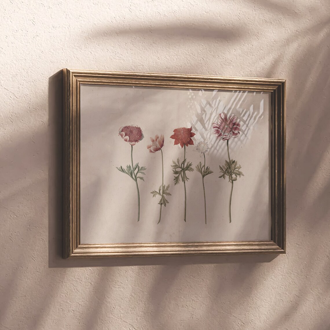 Vintage Botanical Plate Five Wildflowers Antique Illustration Poster - Image 5