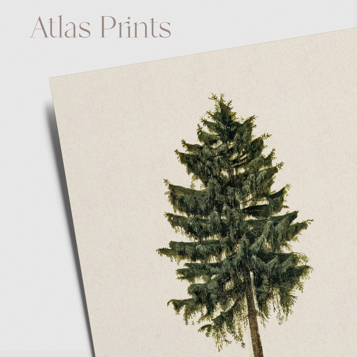 Single Pine Tree Minimalist Evergreen Vintage Neutral Christmas Poster - Image 5