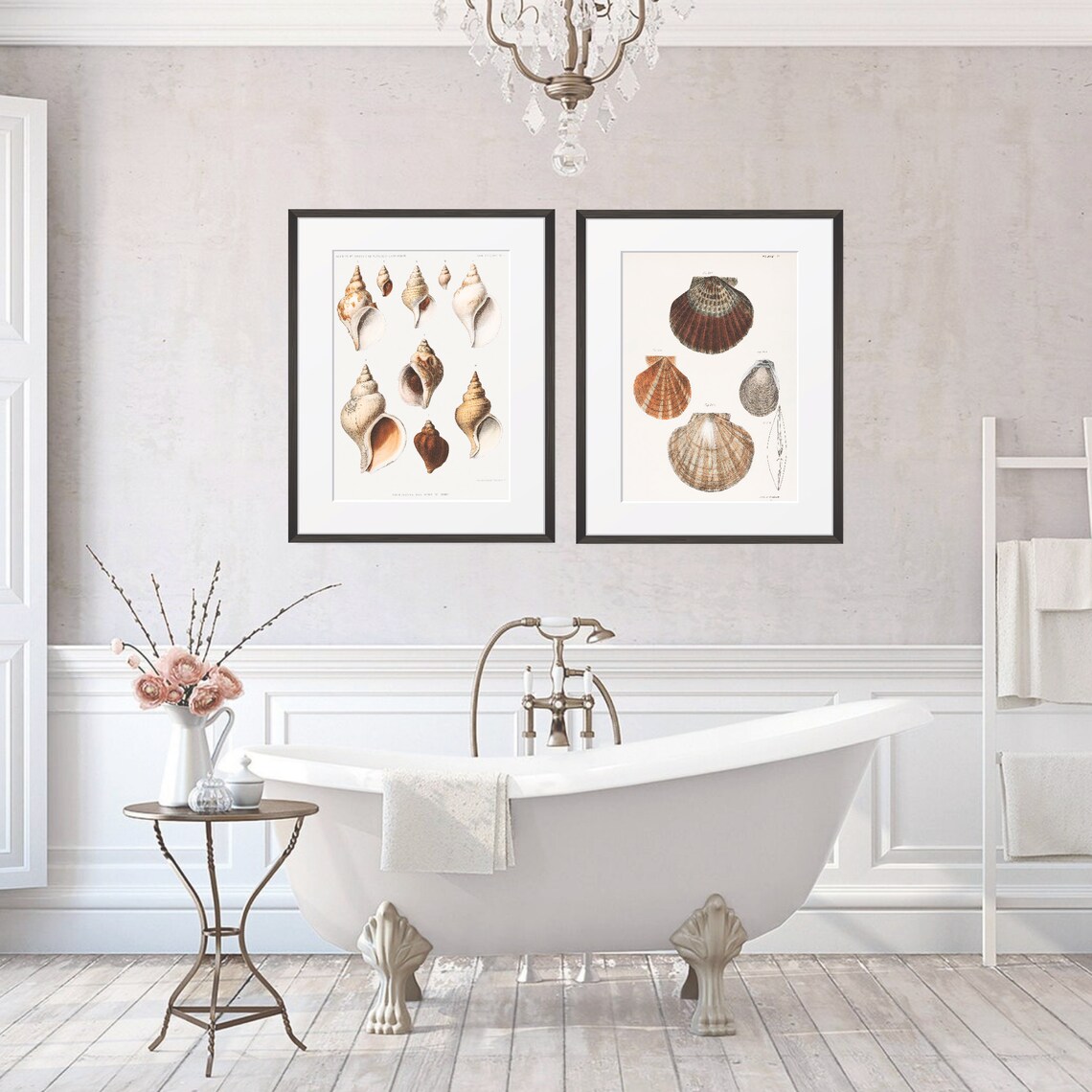 Seashells Vintage Shells Illustration, Coastal Decor - Image 3