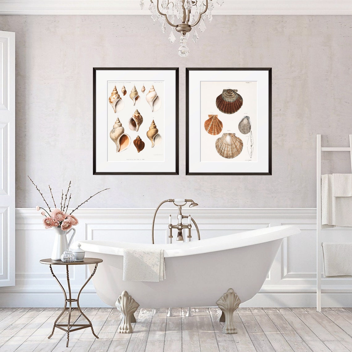 Vintage Spiral Seashell Mollusk Plate Scientific Illustration Poster - Image 2