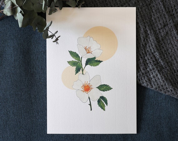 Rose Of The Fields Watercolor Art Print