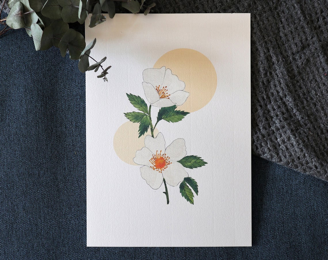 Rose Of The Fields Watercolor Art Print