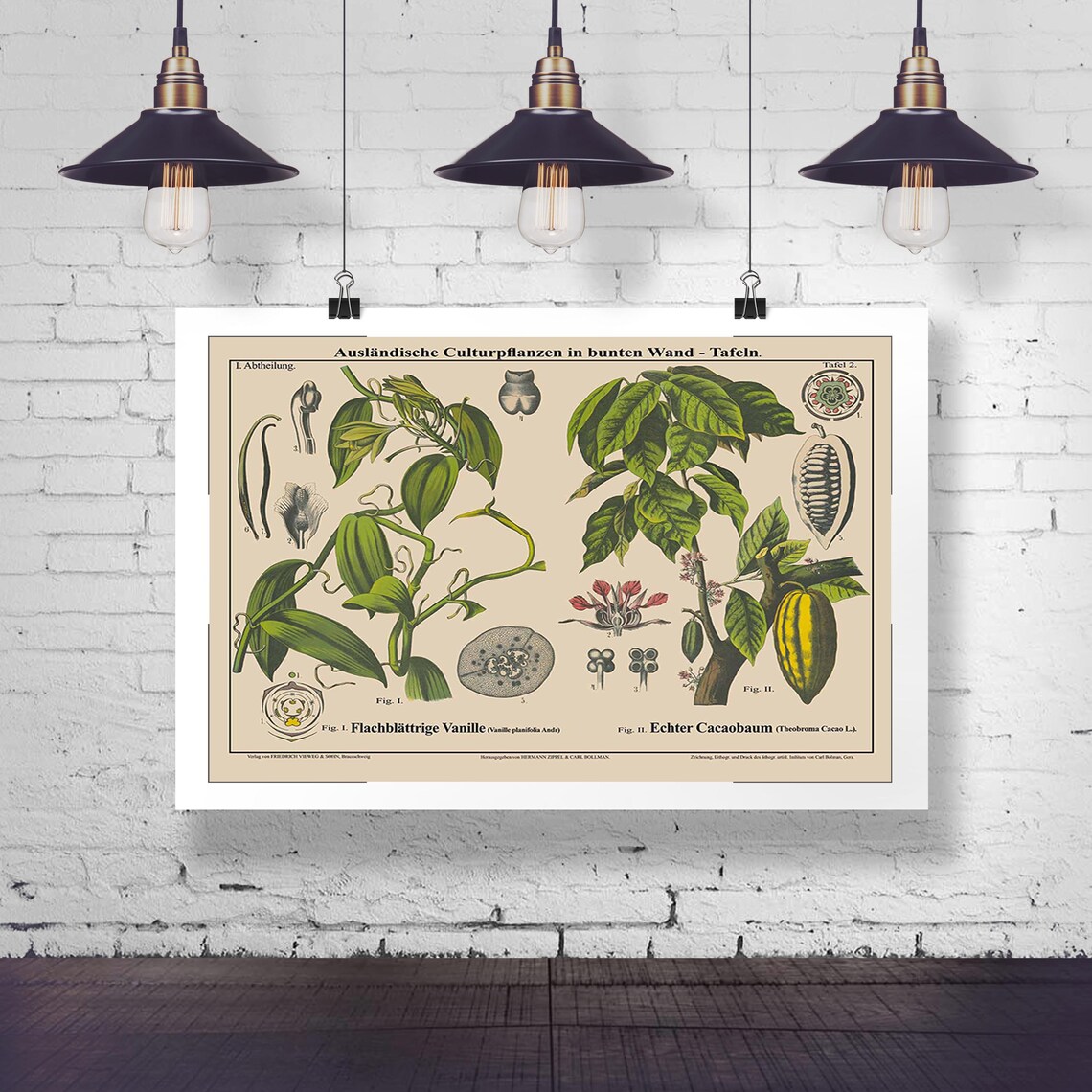 Vanilla And Cacao Botanical Illustration Art Print - Image 2