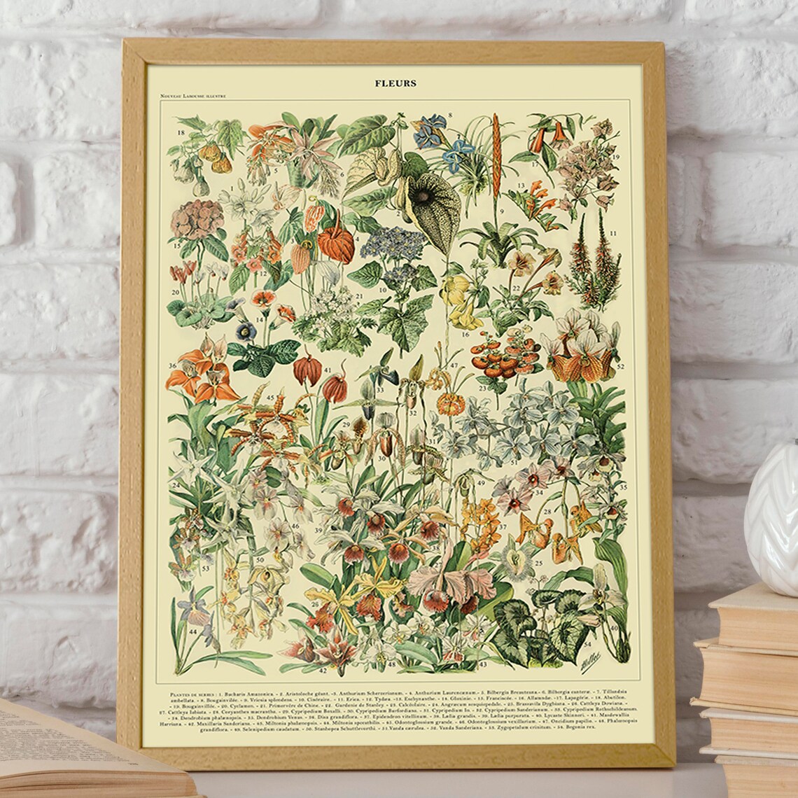 Adolph Millot Colorful Flowers Art Print - Image 2