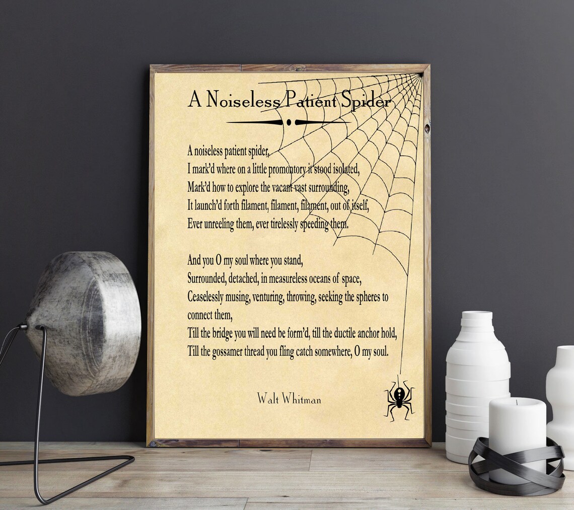 Walt Whitman A Noiseless Patient Spider Art Print