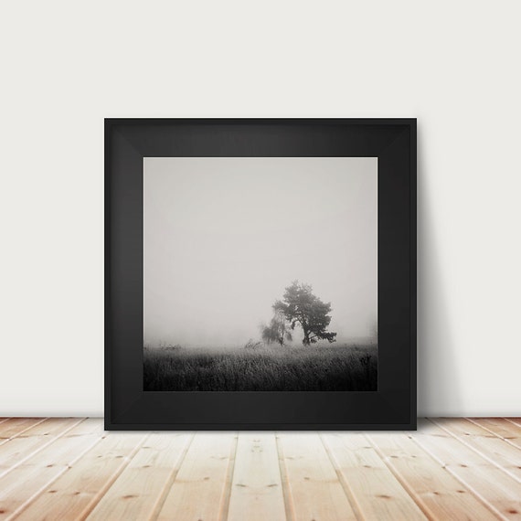 Winter Fog Tree Photograph Black And White Minimalist Print