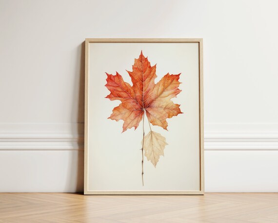 Red Maple Leaf Botanical Watercolor Minimalist Fall Fine Art Poster