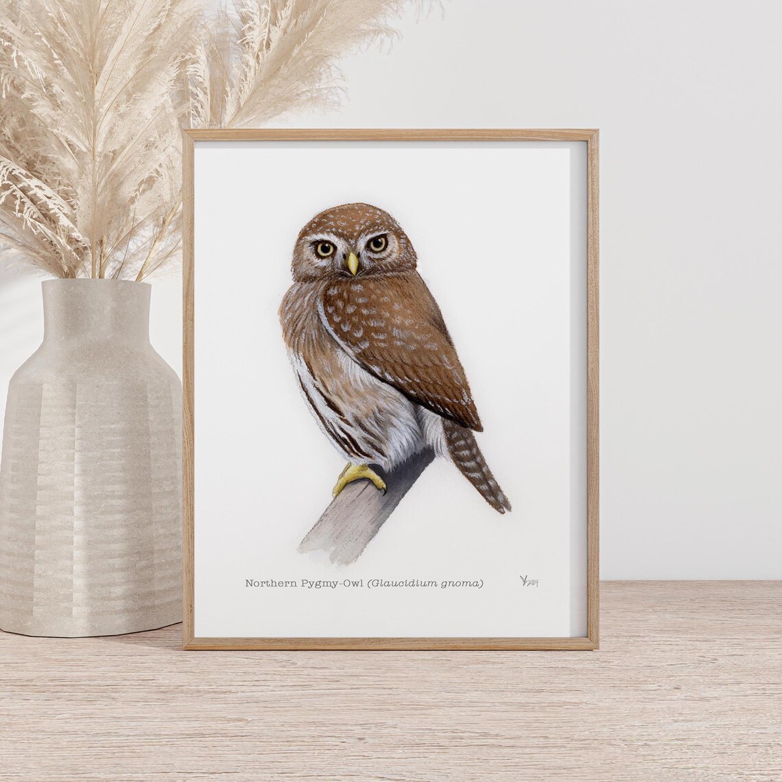 Northern Pygmy Owl Art Print, Cabin Bird Watching Decor