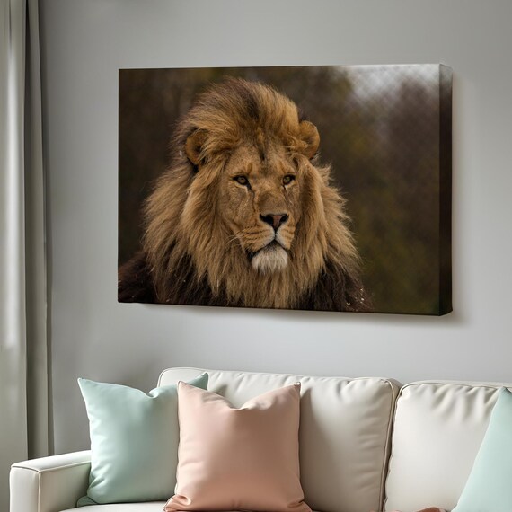 Majestic Wild Male Lion Portrait Wildlife Photography Art Poster