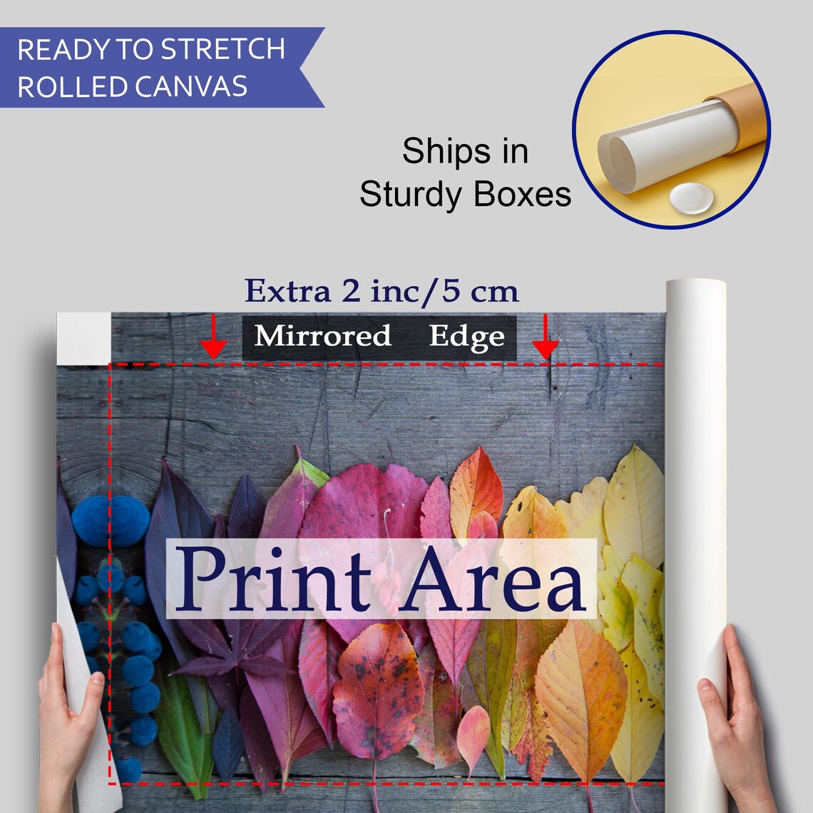 Rainbow Autumn Leaves Gradient Arrangement Rustic Wood Photo Poster - Image 4
