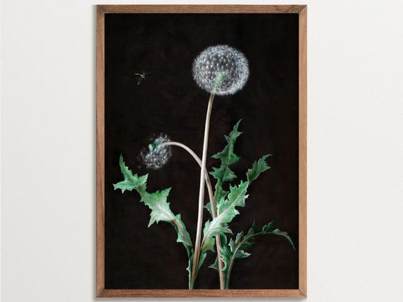Dark Cottagecore Dandelion Botanical Art Print